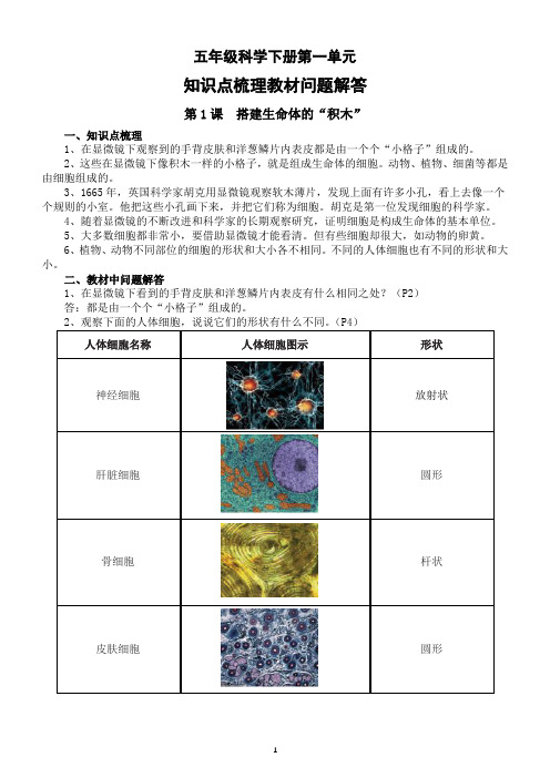 小学科学苏教版五年级下册第一单元《显微镜下的生命世界》知识点梳理教材问题解答(2022新版)