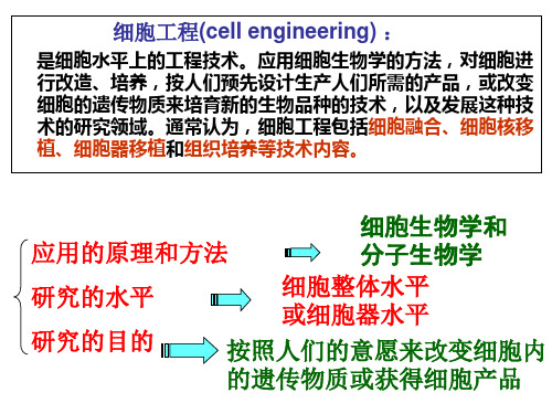 植物细胞工程总结