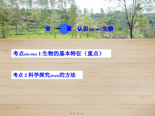 中考生物 考点梳理 第一单元 第一章 认识生物课件