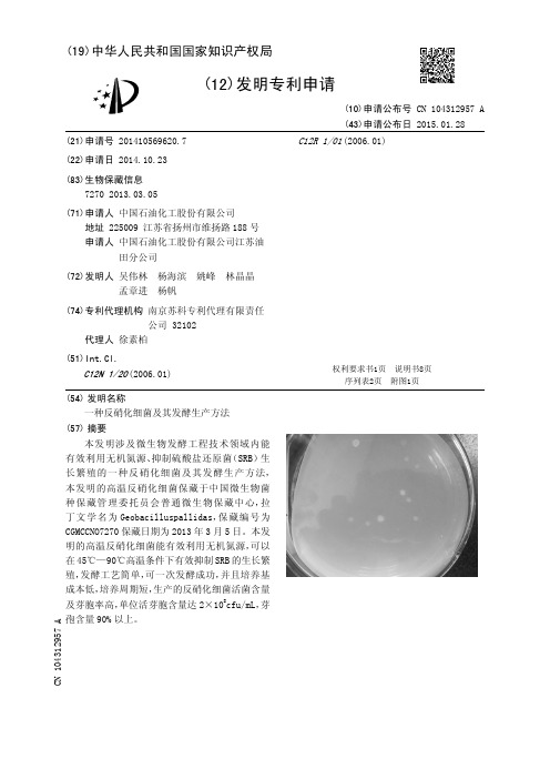 一种反硝化细菌及其发酵生产方法[发明专利]