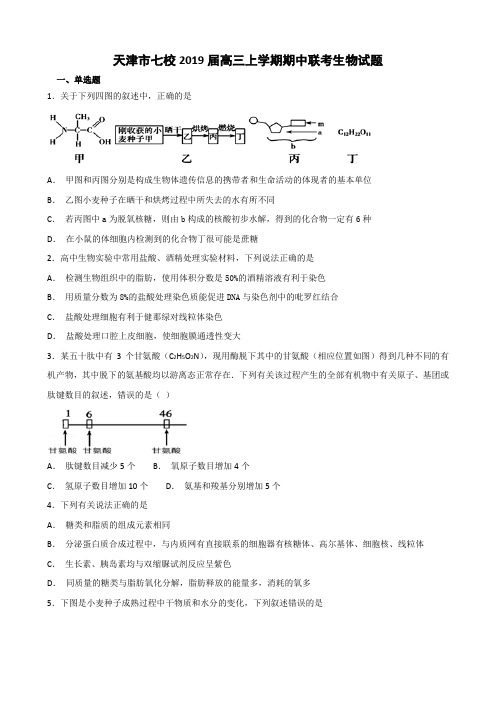 天津市七校2019届高三上学期期中联考生物试题