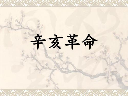 辛亥革命ppt..