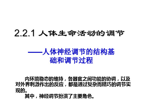 2.2.1神经兴奋产生及传导