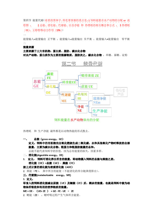 第四节 能量代谢