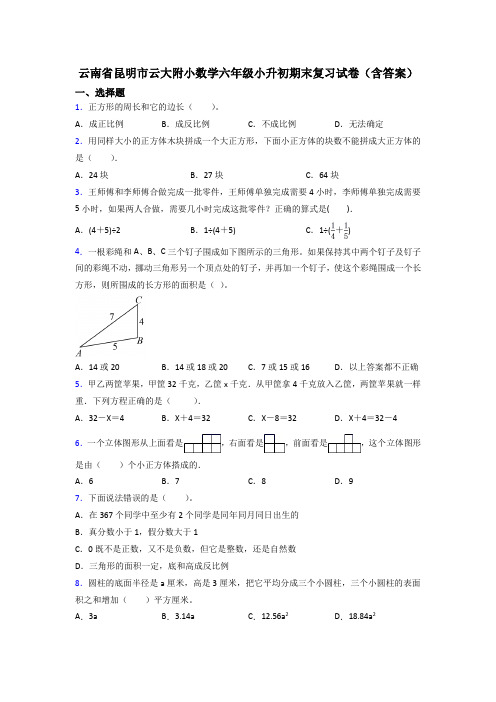 云南省昆明市云大附小数学六年级小升初期末复习试卷(含答案)