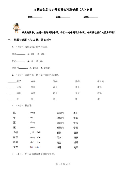 内蒙古包头市小升初语文冲刺试题(九)D卷