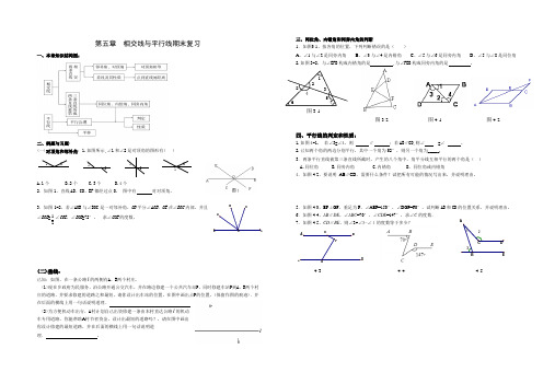 第五章相交线与平行线期末复习