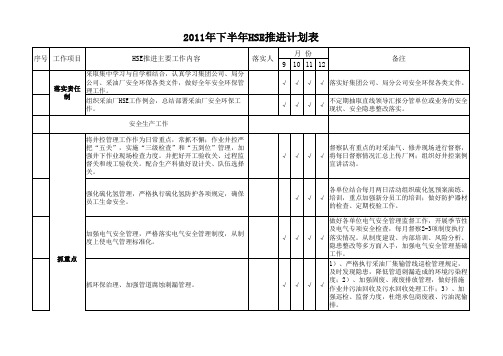 HSE推进计划表