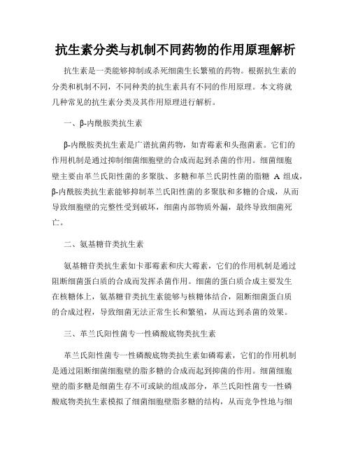 抗生素分类与机制不同药物的作用原理解析