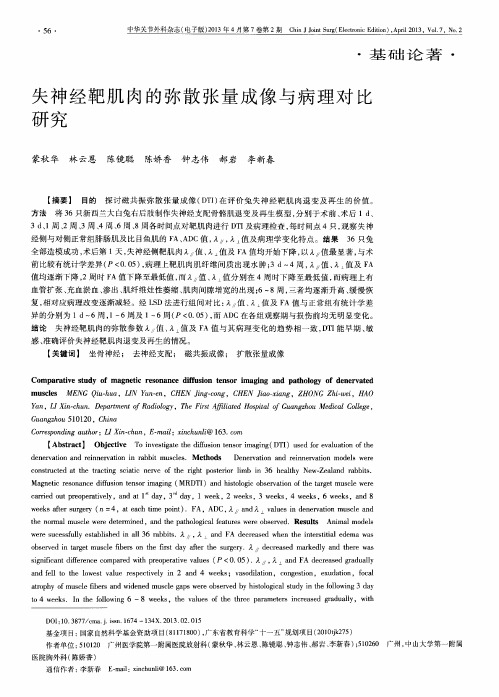 失神经靶肌肉的弥散张量成像与病理对比研究