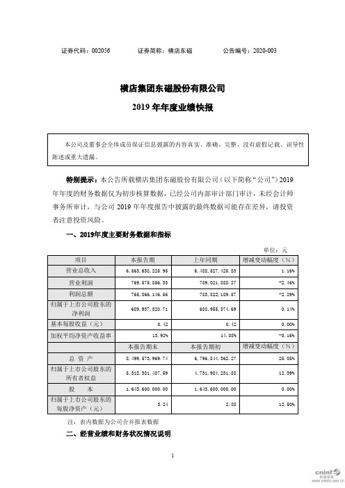 横店东磁：2019年年度业绩快报