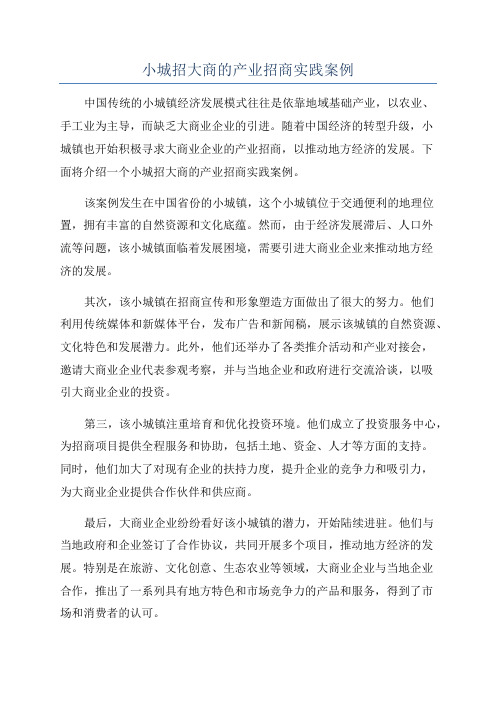 小城招大商的产业招商实践案例