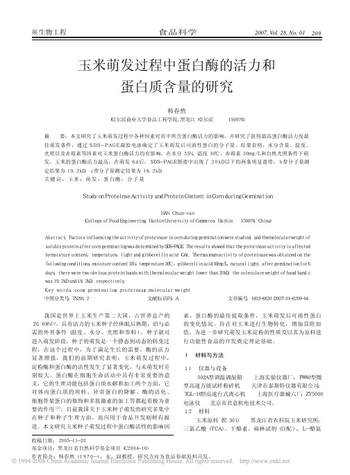 玉米萌发过程中蛋白酶的活力和蛋白质含量的研究