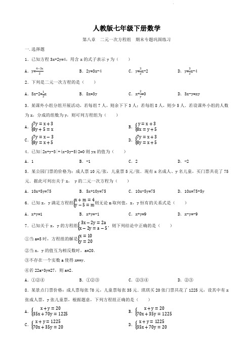 人教版七年级下册数学   第八章   二元一次方程组  期末专题巩固练习