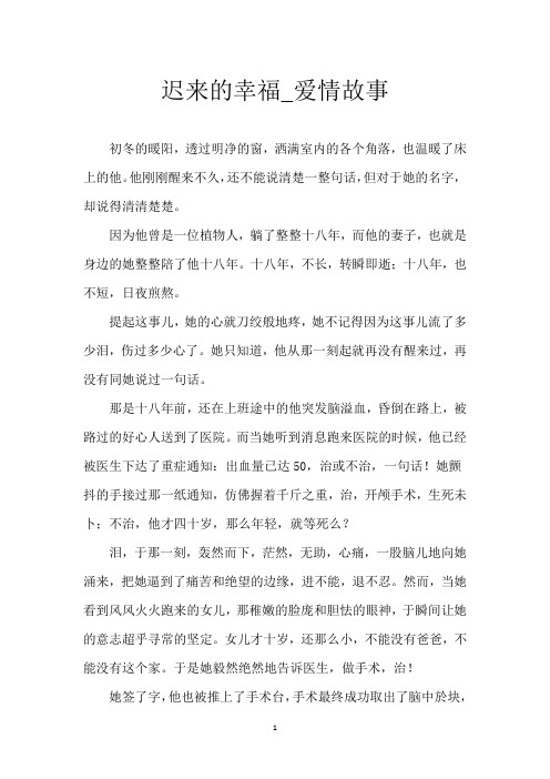 迟来的幸福_爱情故事