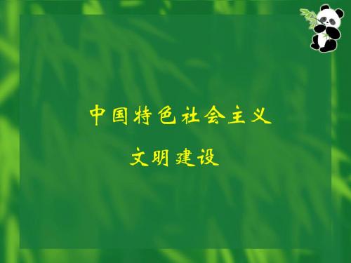 中国特色社会主义政治文明建设