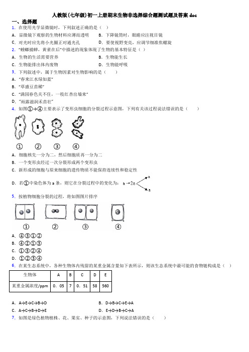 人教版(七年级)初一上册期末生物非选择综合题测试题及答案doc