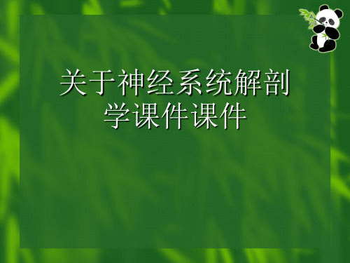 关于神经系统解剖学课件课件课件