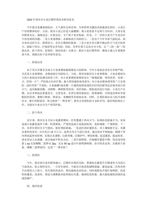 2020年郑州市小麦后期管理技术指导意见