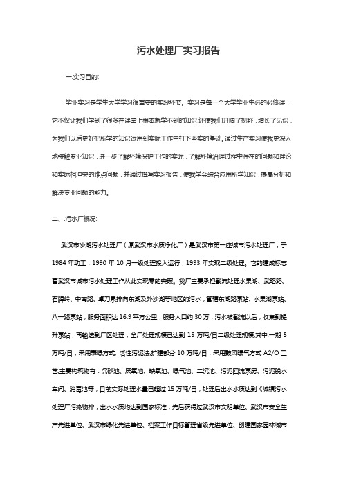 污水处理厂实习报告