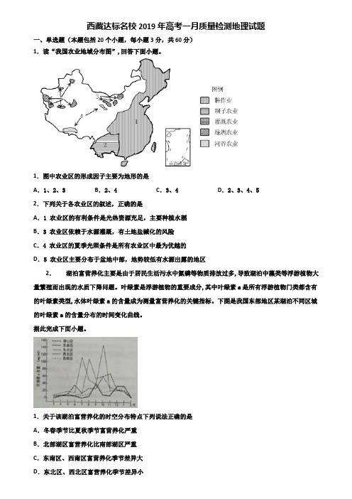 西藏达标名校2019年高考一月质量检测地理试题含解析