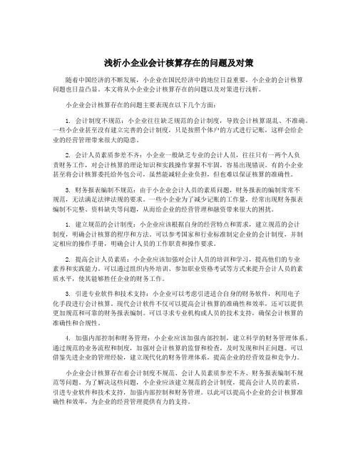 浅析小企业会计核算存在的问题及对策