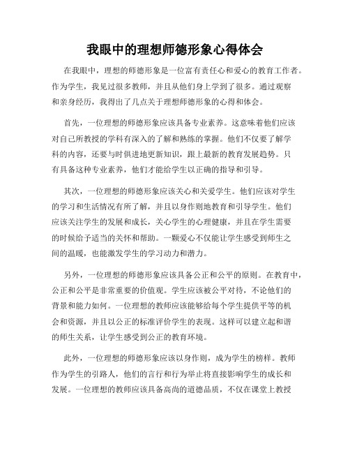 我眼中的理想师德形象心得体会