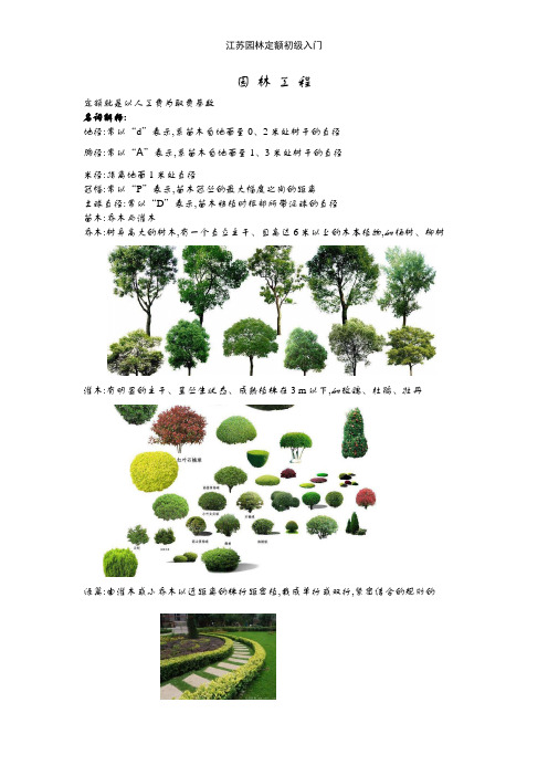 江苏园林定额初级入门