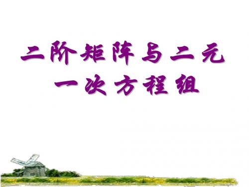 高二数学二阶矩阵和二元一次方程组