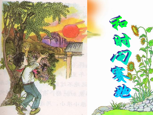 13《和时间赛跑》优秀课件