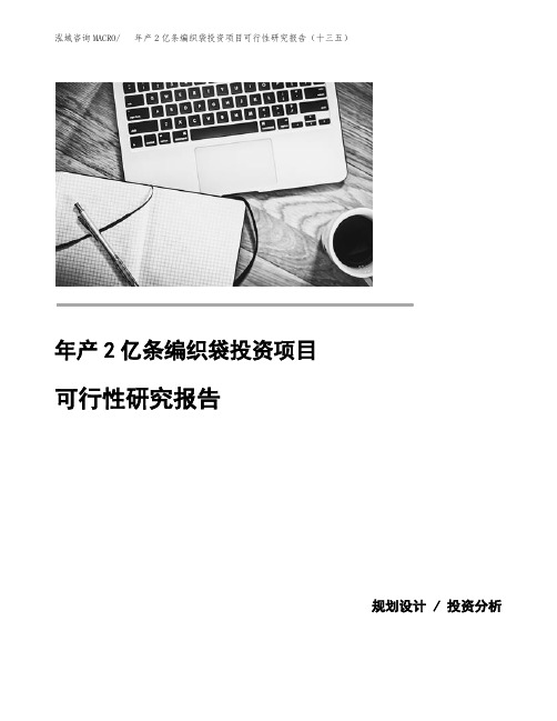 年产2亿条编织袋投资项目可行性研究报告（十三五）