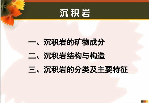 6.沉积岩+内力-构造运动资料