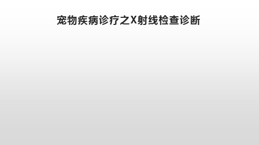 宠物疾病诊疗之X射线检查诊断