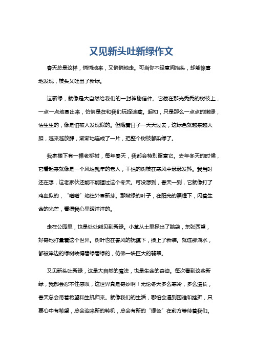 又见新头吐新绿作文