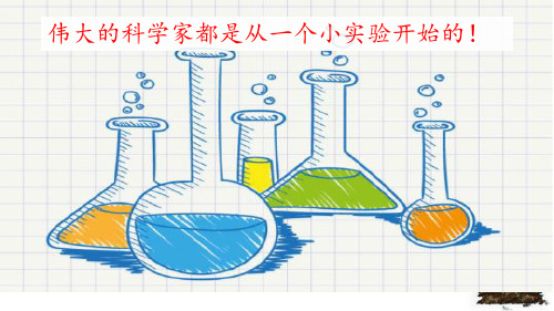 人教版(部编)三年级下册语文：习作：我做了一项小实验1