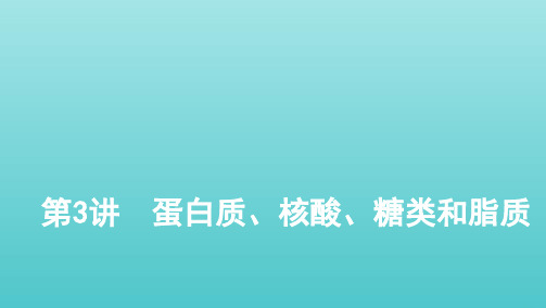 高考生物总复习第1单元走近细胞与细胞的分子组成第3讲蛋白质核酸糖类和脂质课件ppt