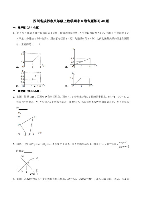 四川省成都市八年级上数学期末B卷专题练习(北师大版)