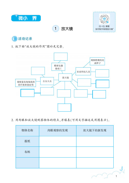 最新教科版小学科学六年级下册全册作业本