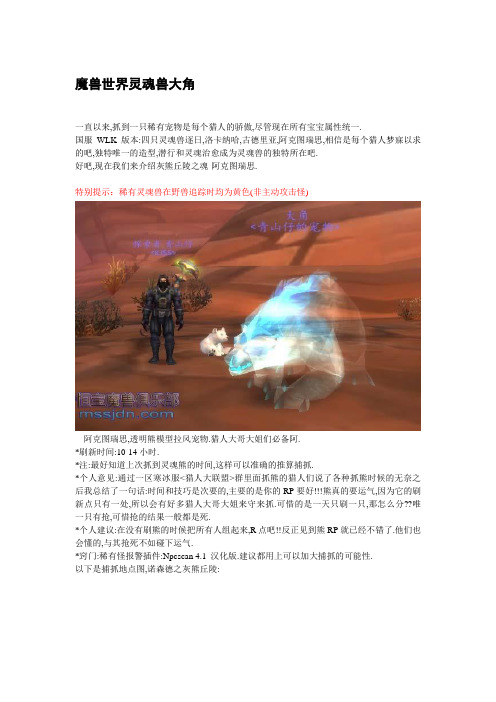 魔兽世界抓灵魂兽大角新方法