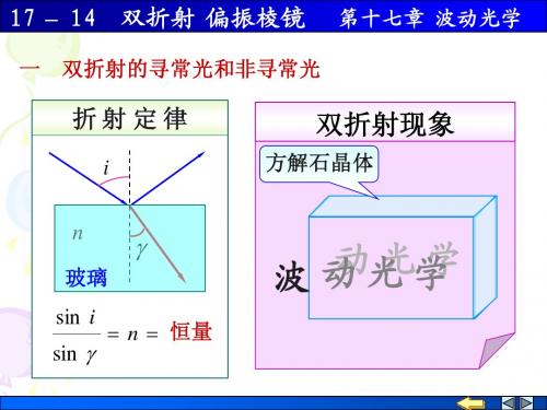 双折射 偏振棱镜