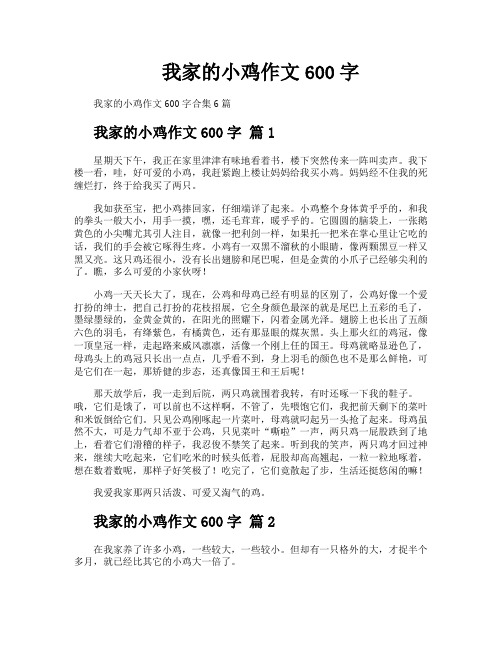 我家的小鸡作文600字