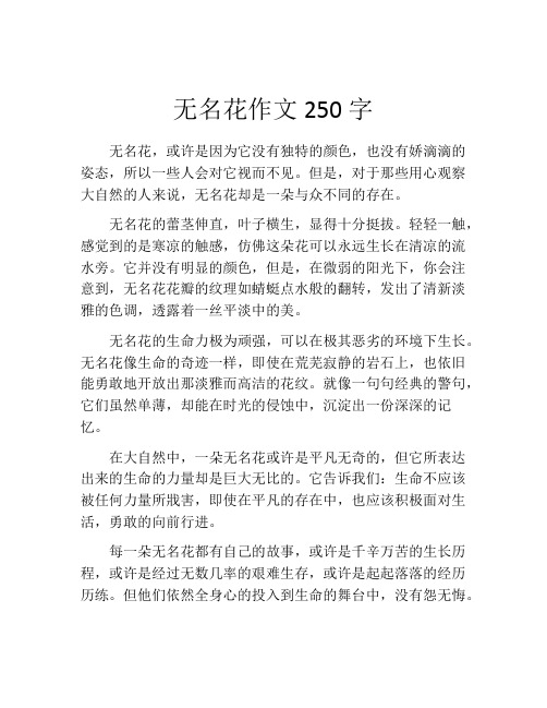 无名花作文250字