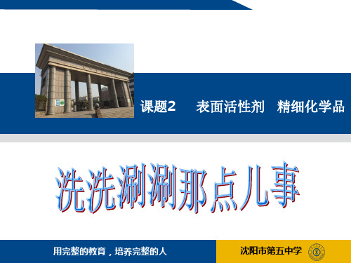 《课题2 表面活性剂 精细化学品》PPT课件(辽宁省市级优课)