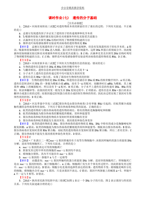 2019届高考生物二轮复习专题四生命系统的遗传变异进化课时作业七遗传的分子基础