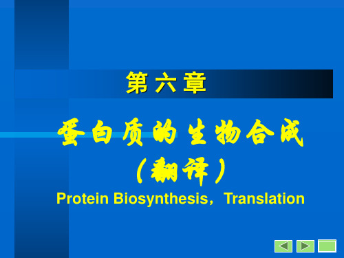 第6章蛋白质翻译-