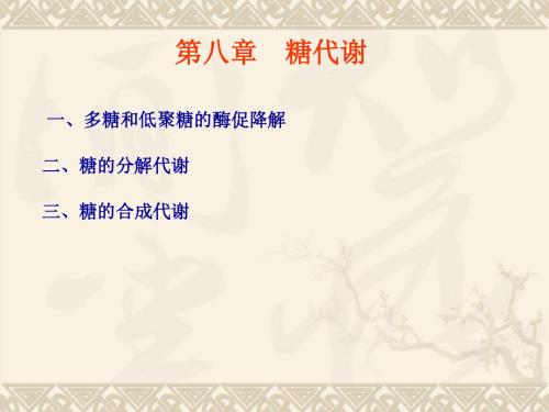 【环境化学】第八章 糖代谢
