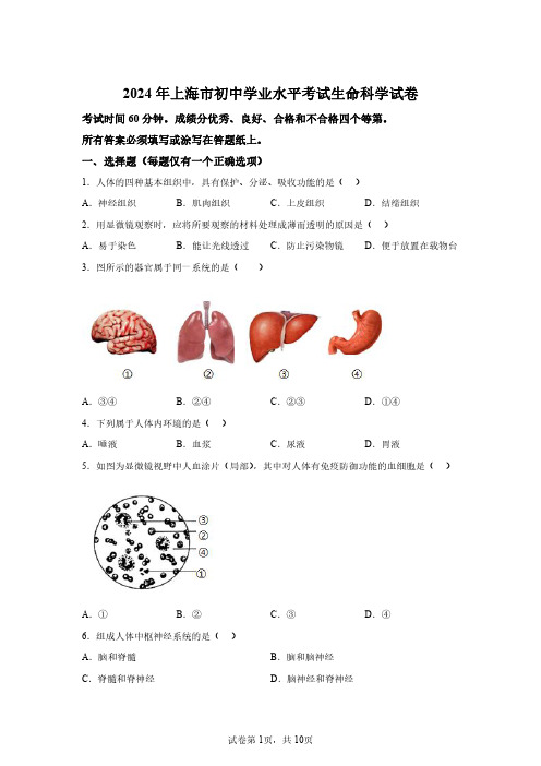 2024年上海市初中学业水平考试生命科学试卷真题(含答案详解)