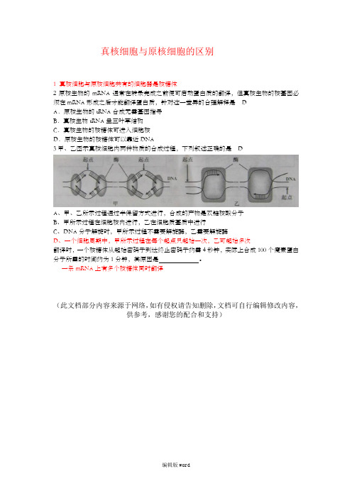 真核细胞与原核细胞转录翻译的区别