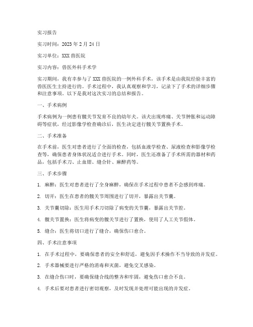 兽医外科手术学实习报告