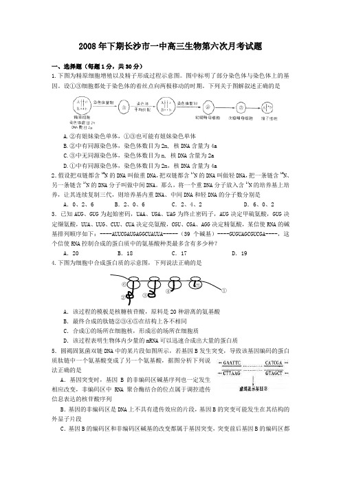 湖南省长沙市一中2008-2009学年高三第六次月考--生物